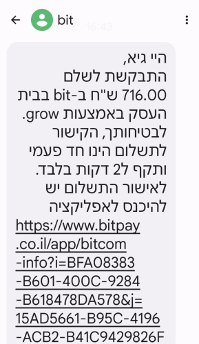 מיסרון מביט לדוגמה